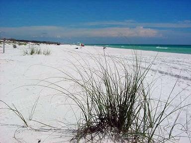 Henderson Beach State Park