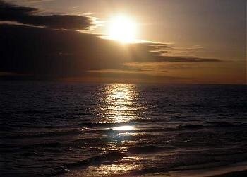 Majestic Sun Condo Rental In Destin